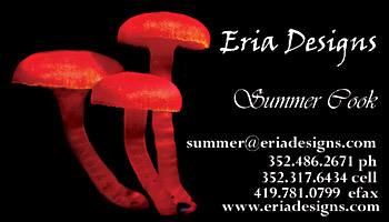 Front Eria Designs Biz Card